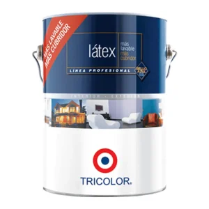 latex profesional ostra 1gl