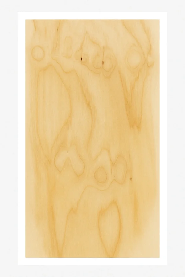 terciado 15x1200x2400 bc selex plywood - Imagen 2